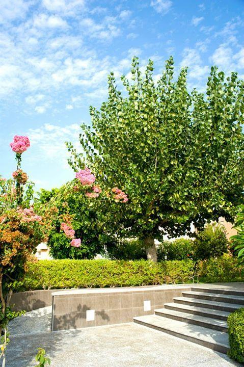 Alfa Hotel Apartments Йеранион Экстерьер фото